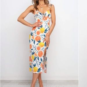 Everloom Dress Petal and Pup